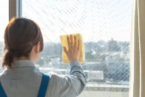 the first company image