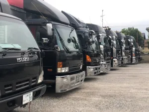 the first company image