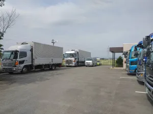 the first company image